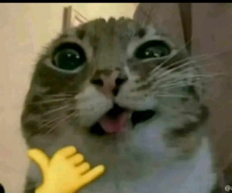Profielfoto Ali Hlal Almohamad